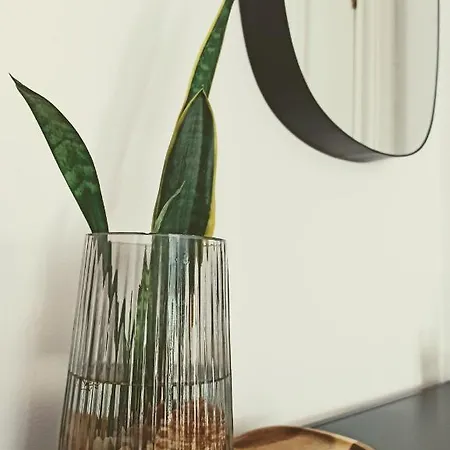 Bajo Con Jardin Privado Apartment