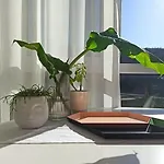 Bajo Con Jardin Privado Διαμέρισμα *