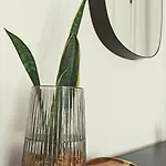 Bajo Con Jardin Privado Διαμέρισμα