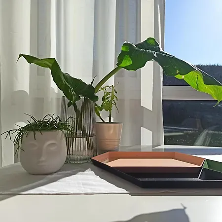 Bajo Con Jardin Privado Apartment *