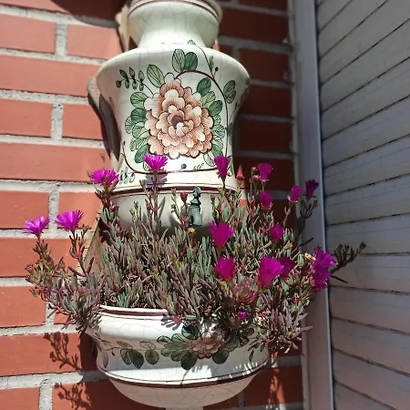 Апартаменты Bajo Con Jardin Privado Сантандер