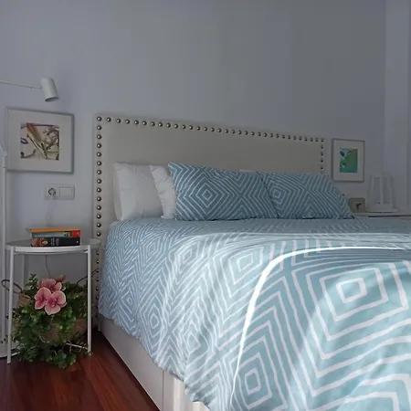 Bajo Con Jardin Privado Santander