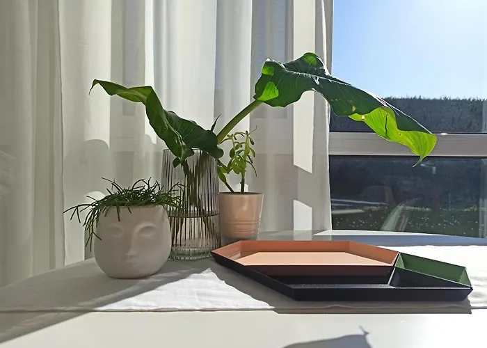 Bajo Con Jardin Privado Apartment *